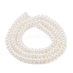Electroplated Shell Pearl Beads Strands&nbsp;BSHE-C006-04A-X