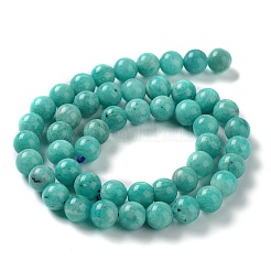 Natural Gemstone Amazonite Round Beads Strands&nbsp;G-O017-8mm-08C