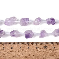 Raw Rough Natural Amethyst Beads Strands&nbsp;G-Q610-04