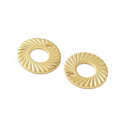 201 Stainless Steel Charms&nbsp;STAS-I330-046G