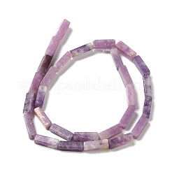 Natural Lepidolite/Purple Mica Stone Beads Strands&nbsp;G-E612-C05-B
