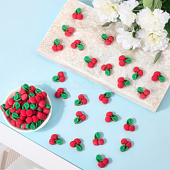 60Pcs Resin Cabochons&nbsp;CRES-SC0003-14