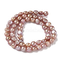 Natural Cultured Freshwater Pearl Beads Strands&nbsp;PEAR-C004-21D