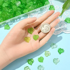 100G 5 Styles Transparent Acrylic Pendants&nbsp;TACR-YW0002-14