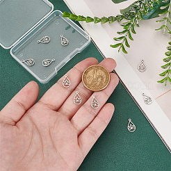 10Pcs 304 Stainless Steel Charms&nbsp;STAS-UN0061-10