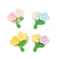 Opaque Resin Cabochons&nbsp;CRES-M037-05B