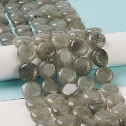 Natural Labradorite Beads Strands&nbsp;G-M403-C09-01