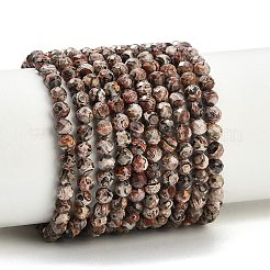 Natural Leopard Skin Jasper Beads Strands&nbsp;GG-CBA3921-A02-4mm