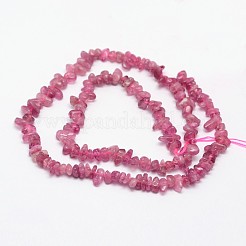 Chips Natural Red Tourmaline Beads Strands&nbsp;G-N0164-29