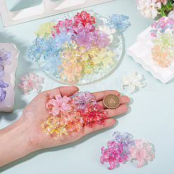50Pcs 2 Styles Acrylic Bead Caps&nbsp;OACR-TA0004-84