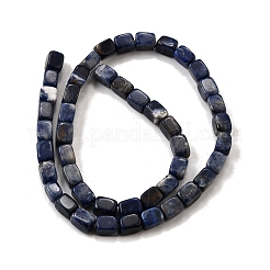 Natural Sodalite Beads Strands&nbsp;G-F791-C04