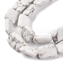 Natural Howlite Beads Strands&nbsp;G-T047-B28-20