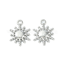 Non-Tarnish 304 Stainless Steel Charms&nbsp;LS-STAS-L269-039P
