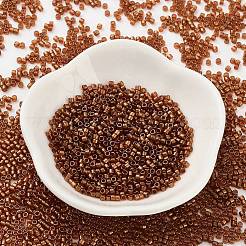 Baking Paint Glass Seed Beads&nbsp;X-SEED-S042-18B-01