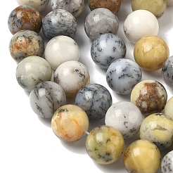 Natural African Opal Beads Strands&nbsp;G-B048-B03-04