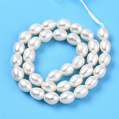 Natural Cultured Freshwater Pearl Beads Strands&nbsp;PEAR-N012-04Y