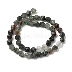 Natural African Bloodstone Beads Strands&nbsp;G-Z119-A28-02