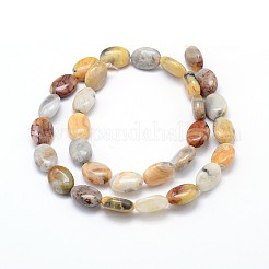 Natural Crazy Lace Agate Flat Oval Bead Strands&nbsp;G-M206-18