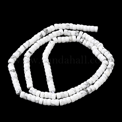 Natural Howlite Heishi Beads Strands&nbsp;G-A299-A08-01