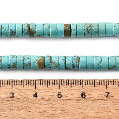 Natural Howlite Beads Strands&nbsp;G-WH0029-01