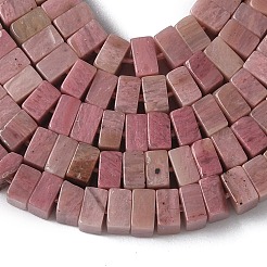 Natural Rhodonite Beads Strands&nbsp;G-A280-C05-01