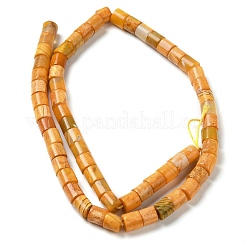 Natural Quartz Beads Strands&nbsp;G-Q169-A01-01D