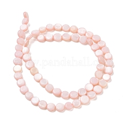 Natural Freshwater Shell Coin Beads Strands&nbsp;SH-CBACA76-17E