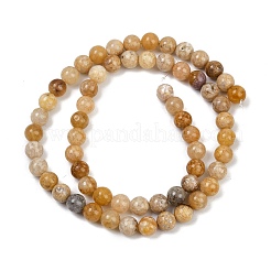 Natural Agate Beads Strands&nbsp;G-U026-A07-6mm