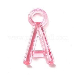 Transparent Acrylic Pendants&nbsp;TACR-P003-02