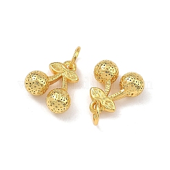 Brass Charms&nbsp;KK-F941-42D-G