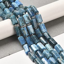 Natural Apatite Beads Strands&nbsp;G-N327-06-27