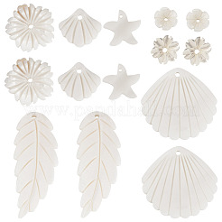 14Pcs 7 Styles Natural Freshwater Shell Pendants&nbsp;SHEL-TA0001-24