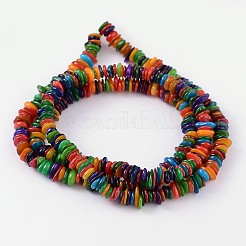 Natural Freshwater Shell Beads Strands&nbsp;S23YD011