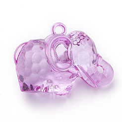 Transparent Acrylic Pendants&nbsp;TACR-T002-16