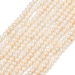 Natural Cultured Freshwater Pearl Beads Strands&nbsp;PEAR-L034-06C