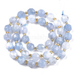 Natural Dolomite Beads Strands&nbsp;G-T131-85A-14