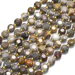 Natural Gobi Agate Beads Strands&nbsp;G-C116-A21-02