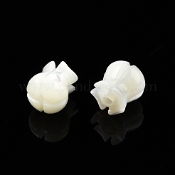 Natural Trochid Shell/Trochus Shell Beads&nbsp;SSHEL-N003-145A-B01