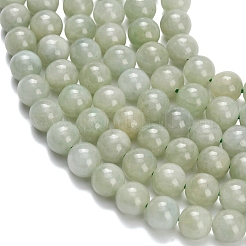 Natural Myanmar Jade/Burmese Jade Beads Strands&nbsp;G-L642-B11-6mm