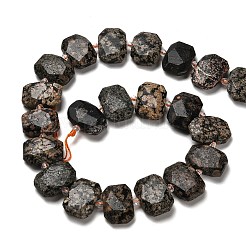 Natural Snowflake Obsidian Beads Strands&nbsp;G-H078-B22-01