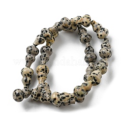 Natural Dalmatian Jasper Beads Strands&nbsp;G-C039-A05