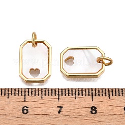 Brass & Shell Charms&nbsp;KK-N254-212G