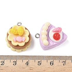 Opaque Resin Dessert Craft Pendant&nbsp;X-RESI-D014-02P