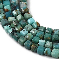 Natural HuBei Turquoise Beads Strands&nbsp;G-C009-B12-B