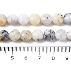 Natural White African Opal Beads Strands&nbsp;G-C179-A35-03