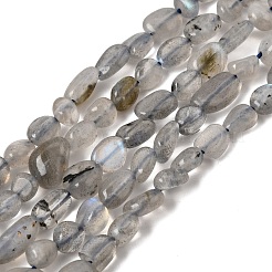 Natural Labradorite Nuggets Beads Strands&nbsp;G-J335-40