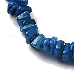 Natural Freshwater Shell Beads&nbsp;SHEL-B003-01M