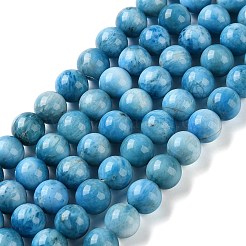 Natural Apatite Beads Strands&nbsp;G-C268-B03-02