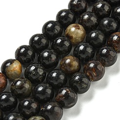 Natural Phlogopite Beads Strands&nbsp;G-P546-A01-03