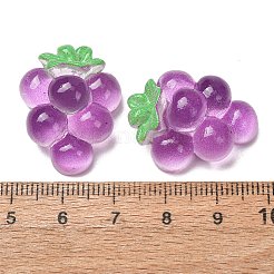 Fruit Theme Opaque Resin Imitation Food Cabochons&nbsp;RE-CBA49A8-03E